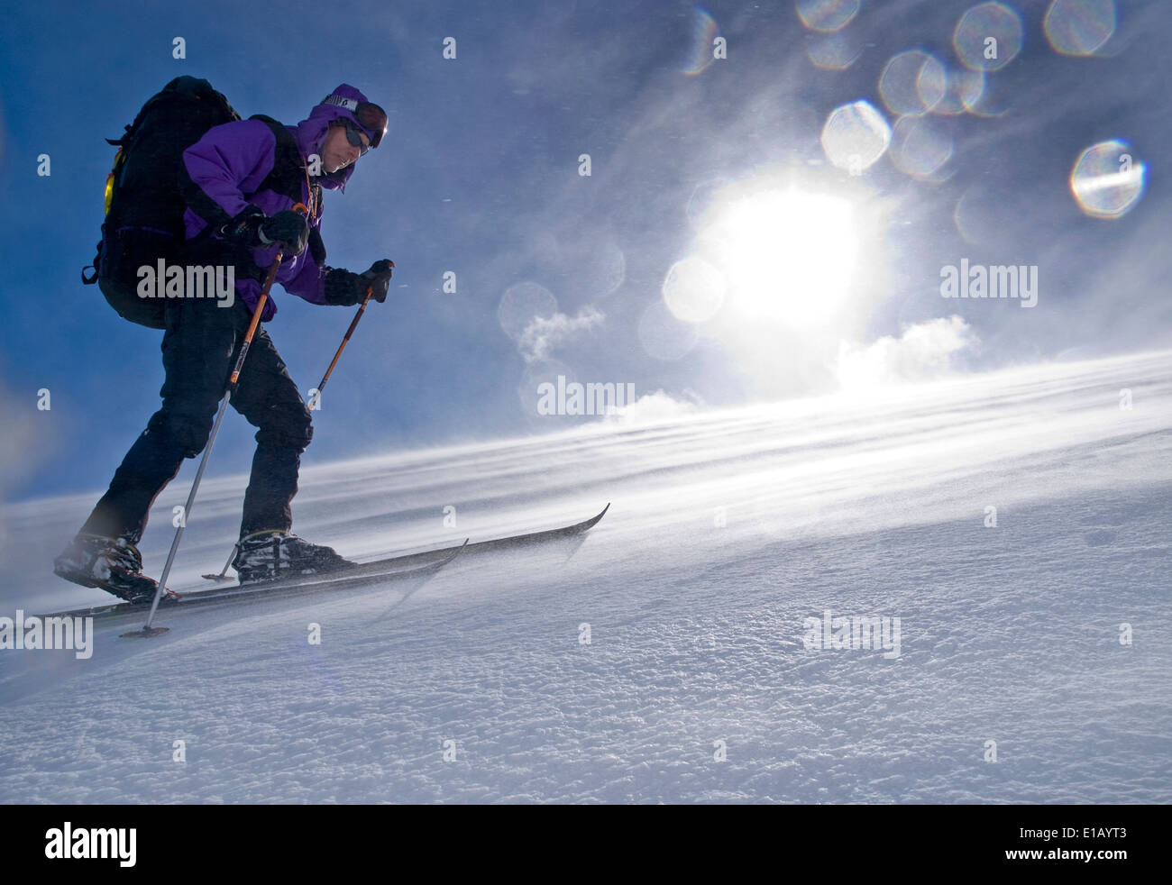 Ski tourer battling through snow and strong wind, Rondane, Norway Stock Photo