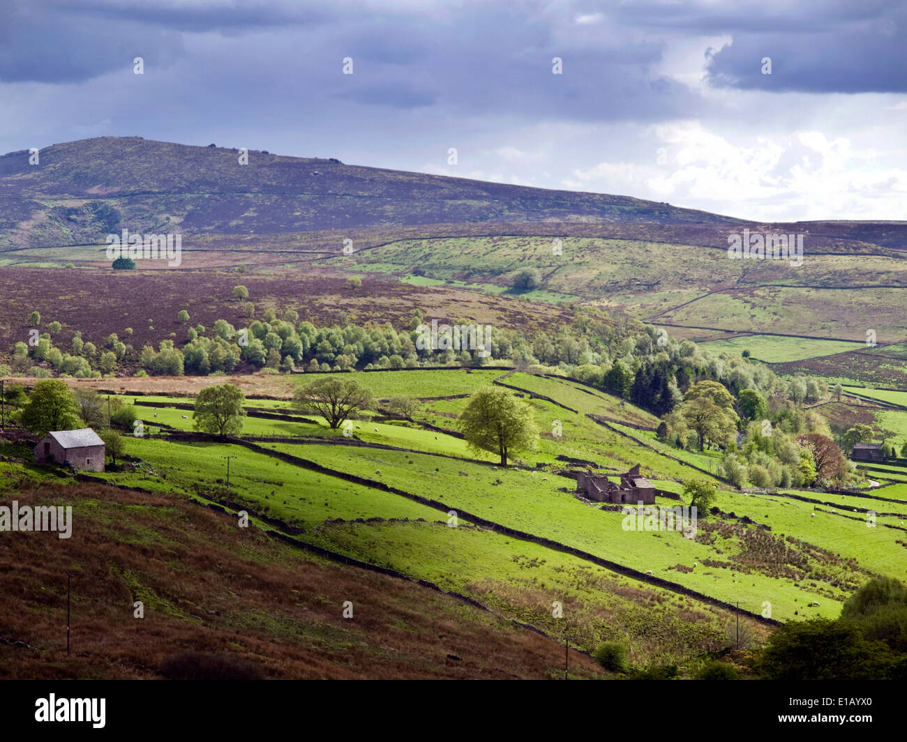 Looking towards The Roaches in the Staffordshire Moorlands, part of the