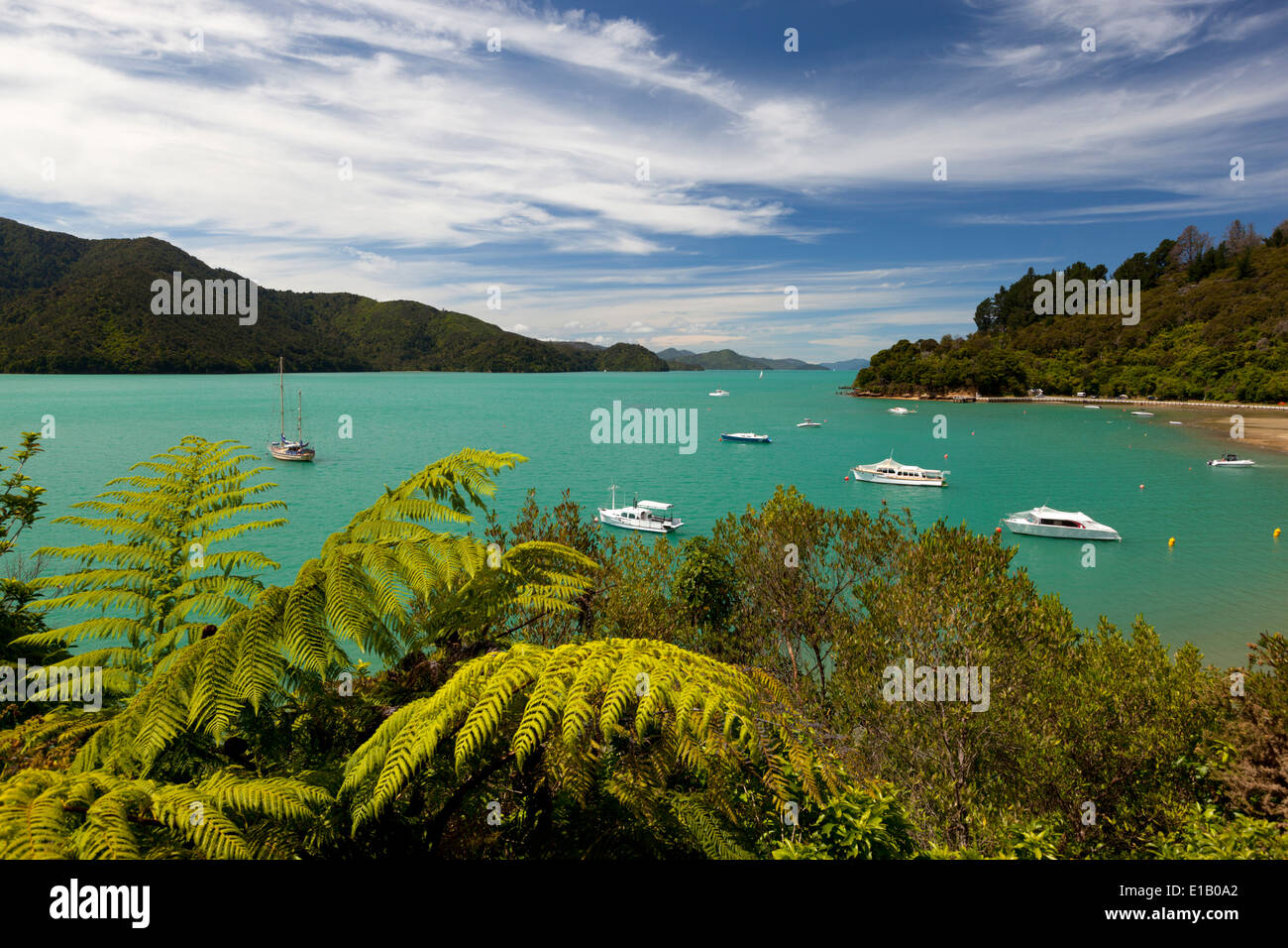 Ngakuta Bay, Queen Charlotte Sound, near Picton, Marlborough region