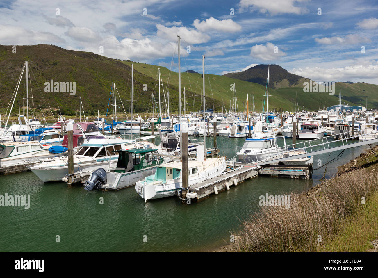 Havelock marina, Havelock, Marlborough region, South Island, New Zealand, South Pacific Stock Photo