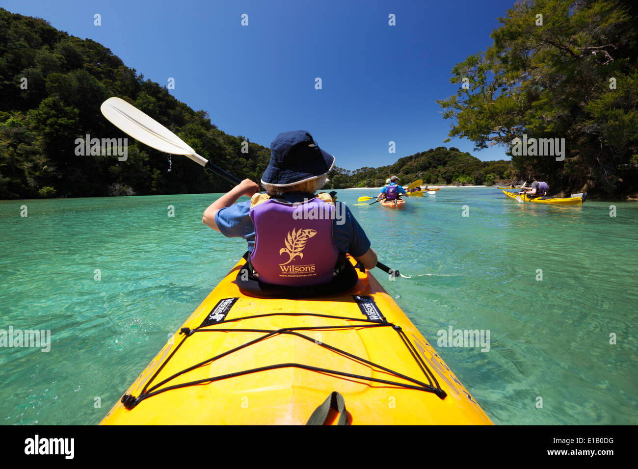 Kayaking in Frenchman's Bay, Abel Tasman National Park, Nelson region