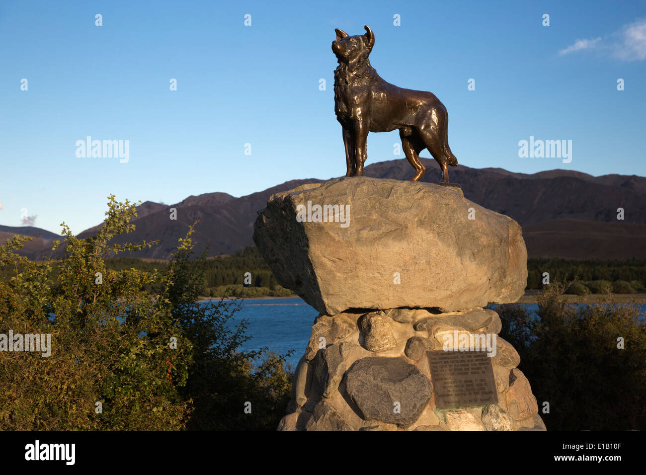 Bronze sheepdog sculpture, Lake Tekapo, Canterbury region, South Island, New Zealand, South Pacific Stock Photo