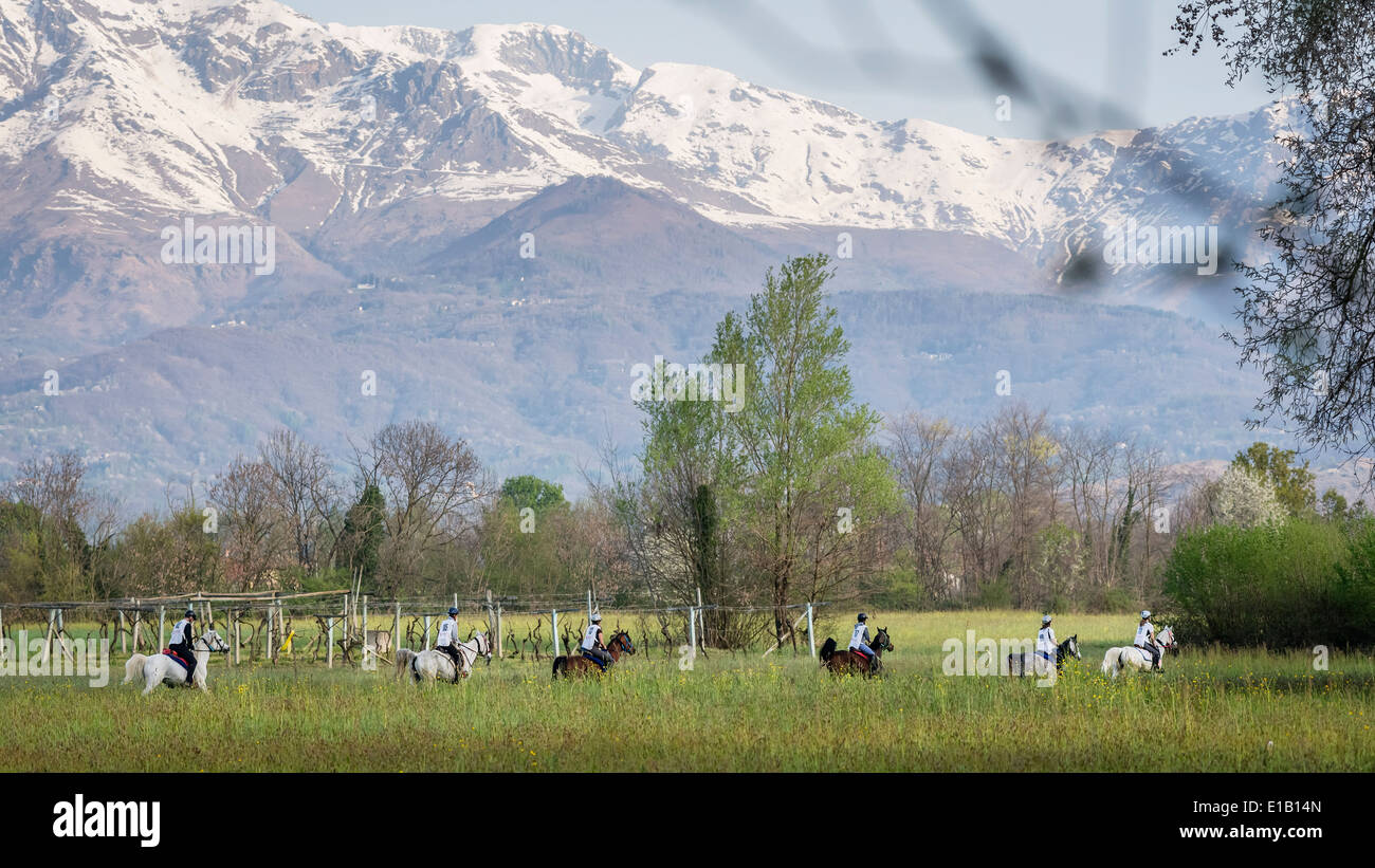 Endurance riders during competition Stock Photo