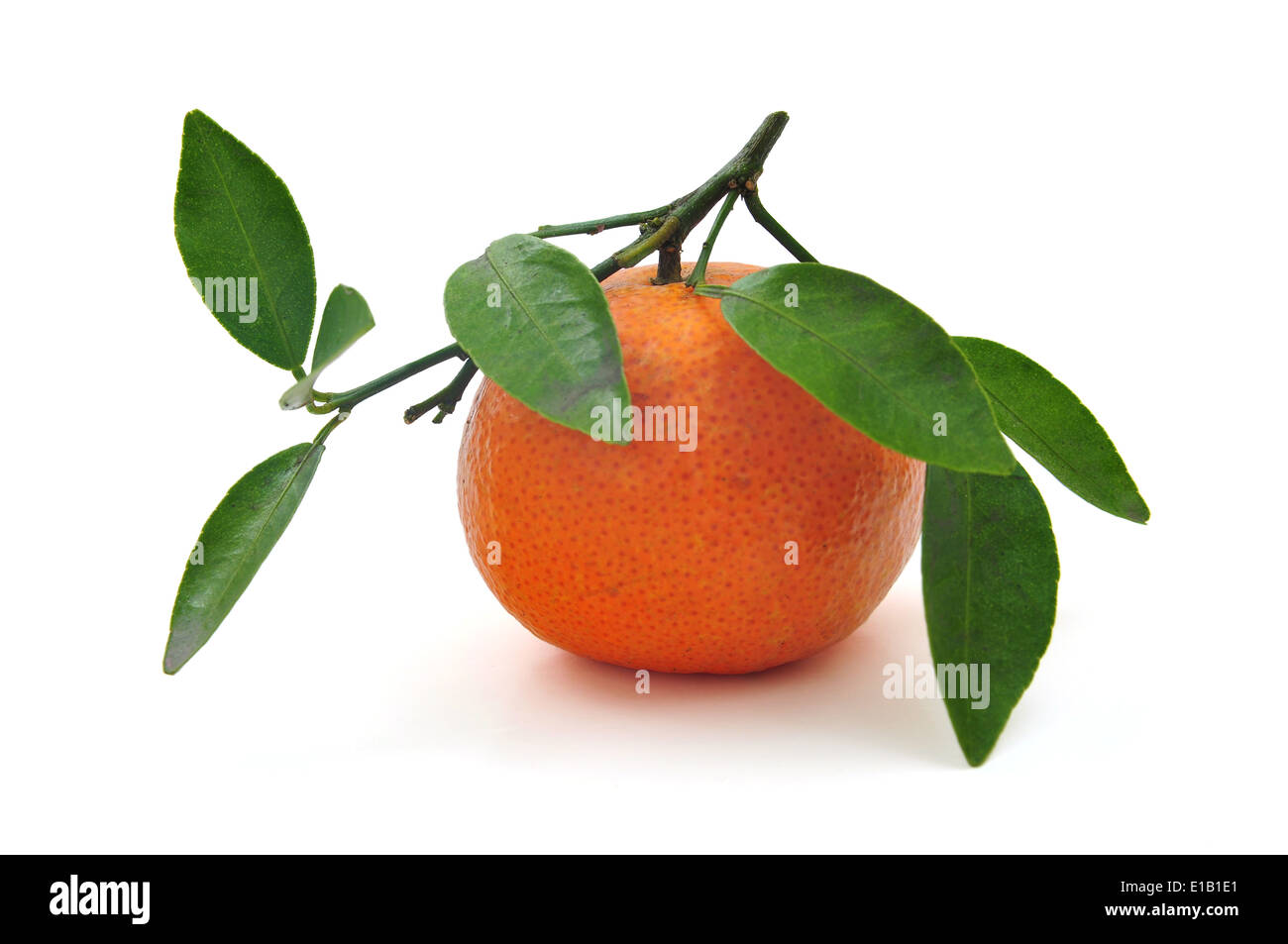 Oranges for christmas novel