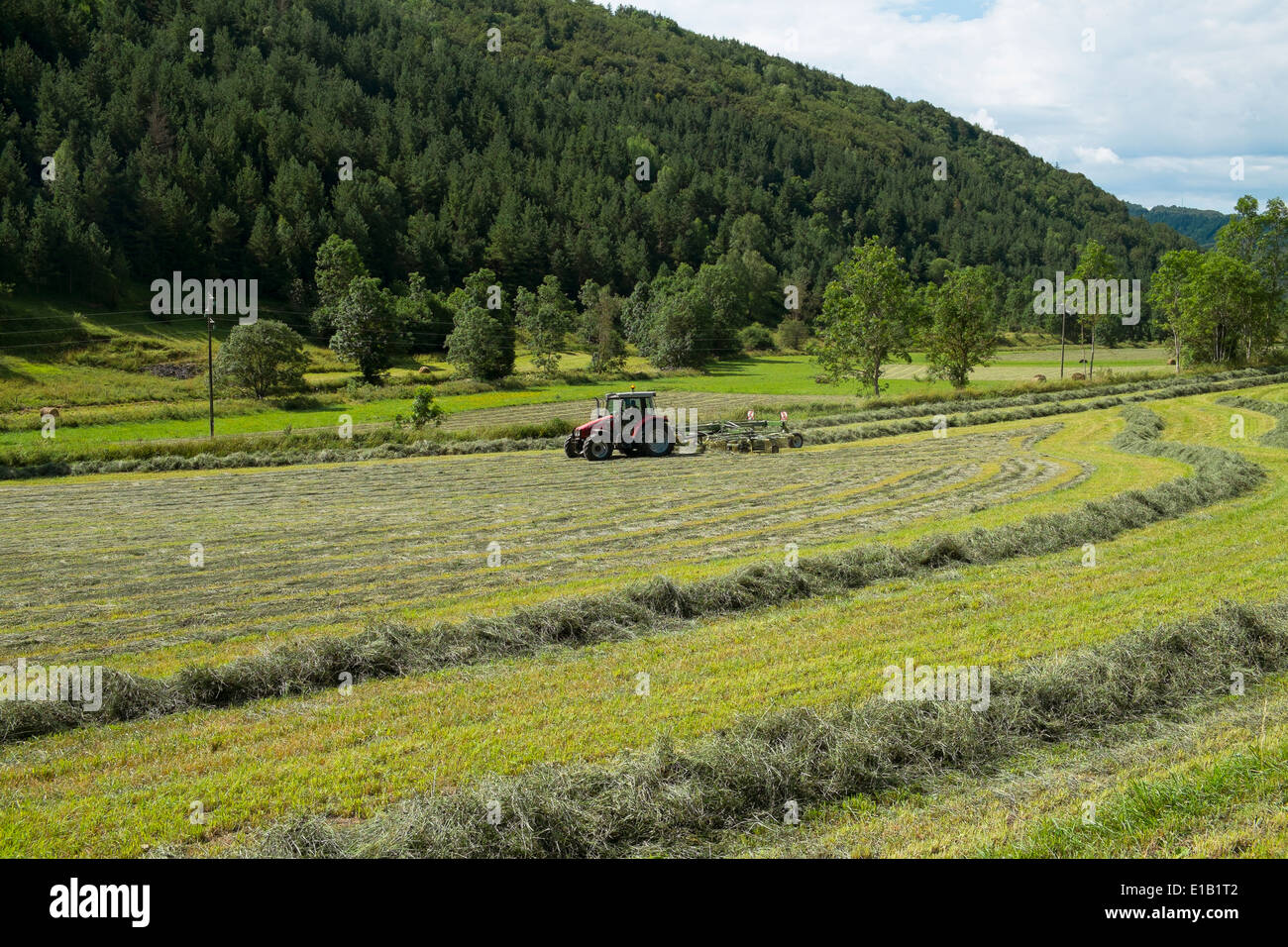 harvesting hay cutting grassland tractor field Stock Photo Alamy