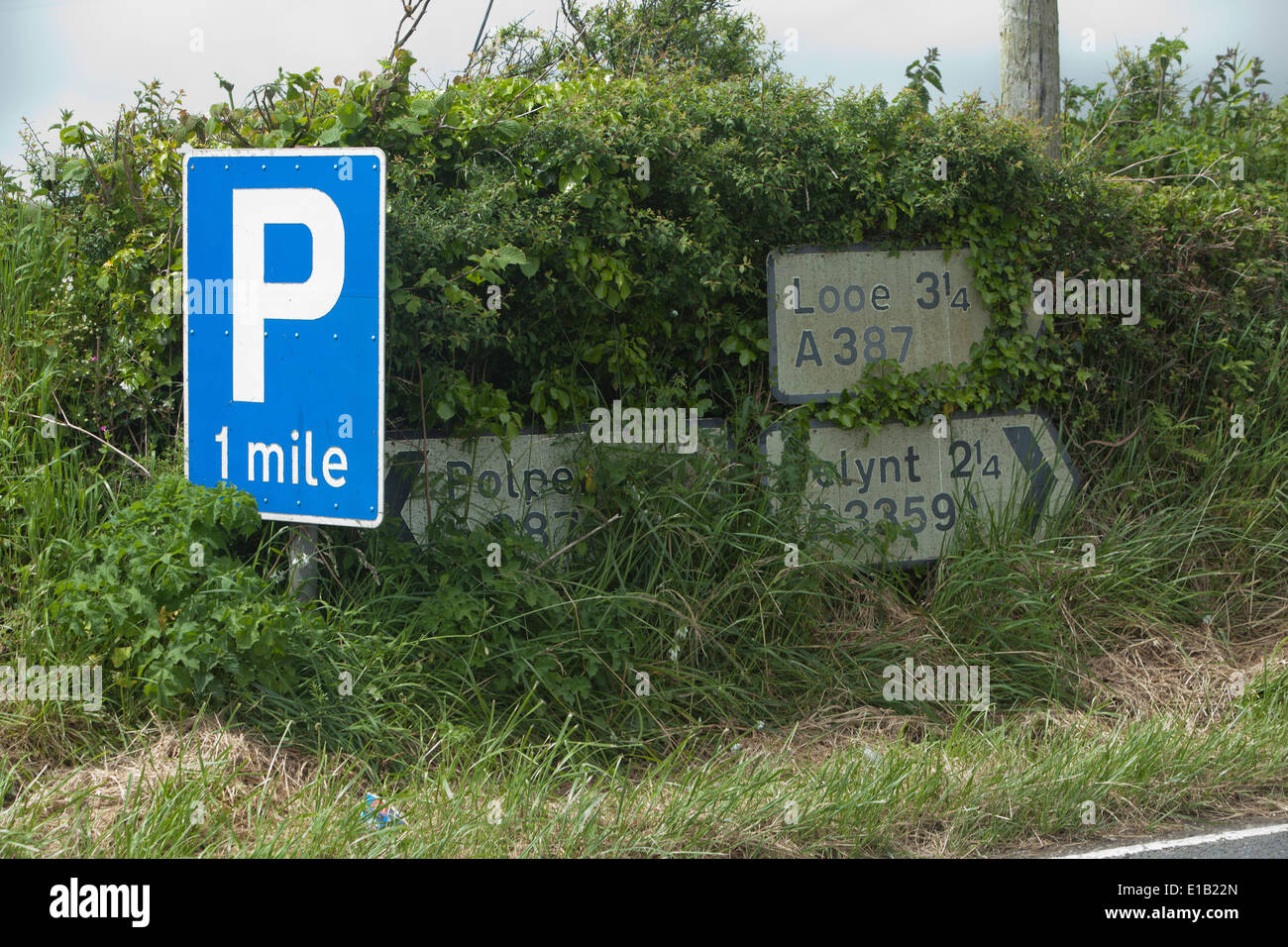 Road signs overgrown with weeds and grass beside a road near Looe in Cornwall, Stock Photo