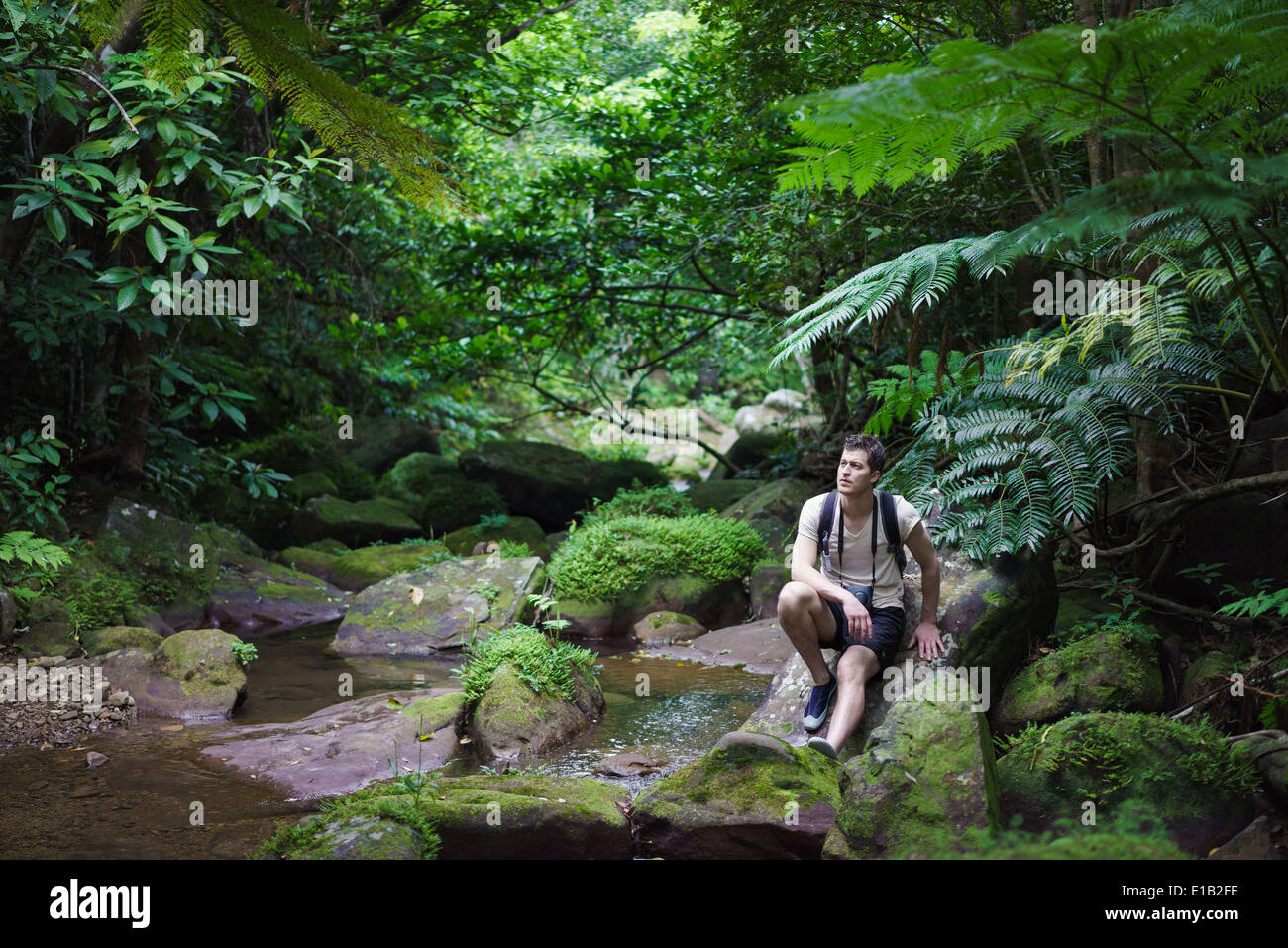 Man admiring rich nature of lush green Rainforest in Iriomote island, Okinawa, Japan Stock Photo