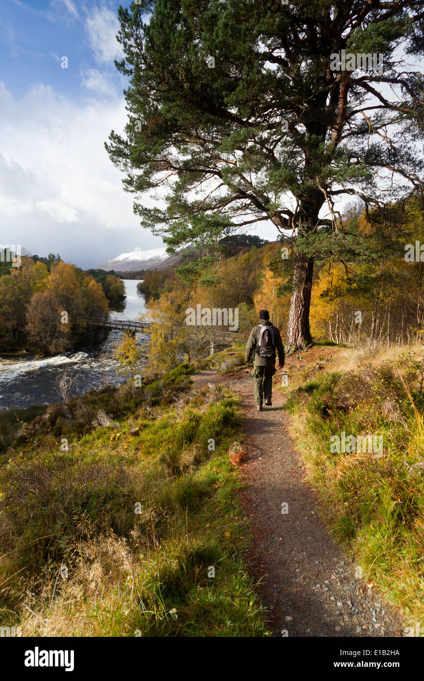 Walking in Glen Affric, Highland Scotland Stock Photo