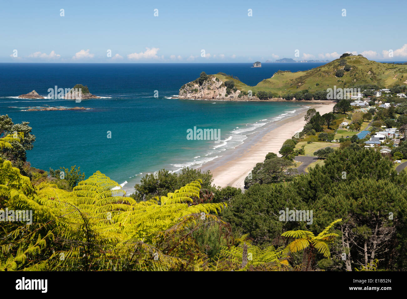 Hahei beach - Coromandel - North Island - New Zealand Stock Photo
