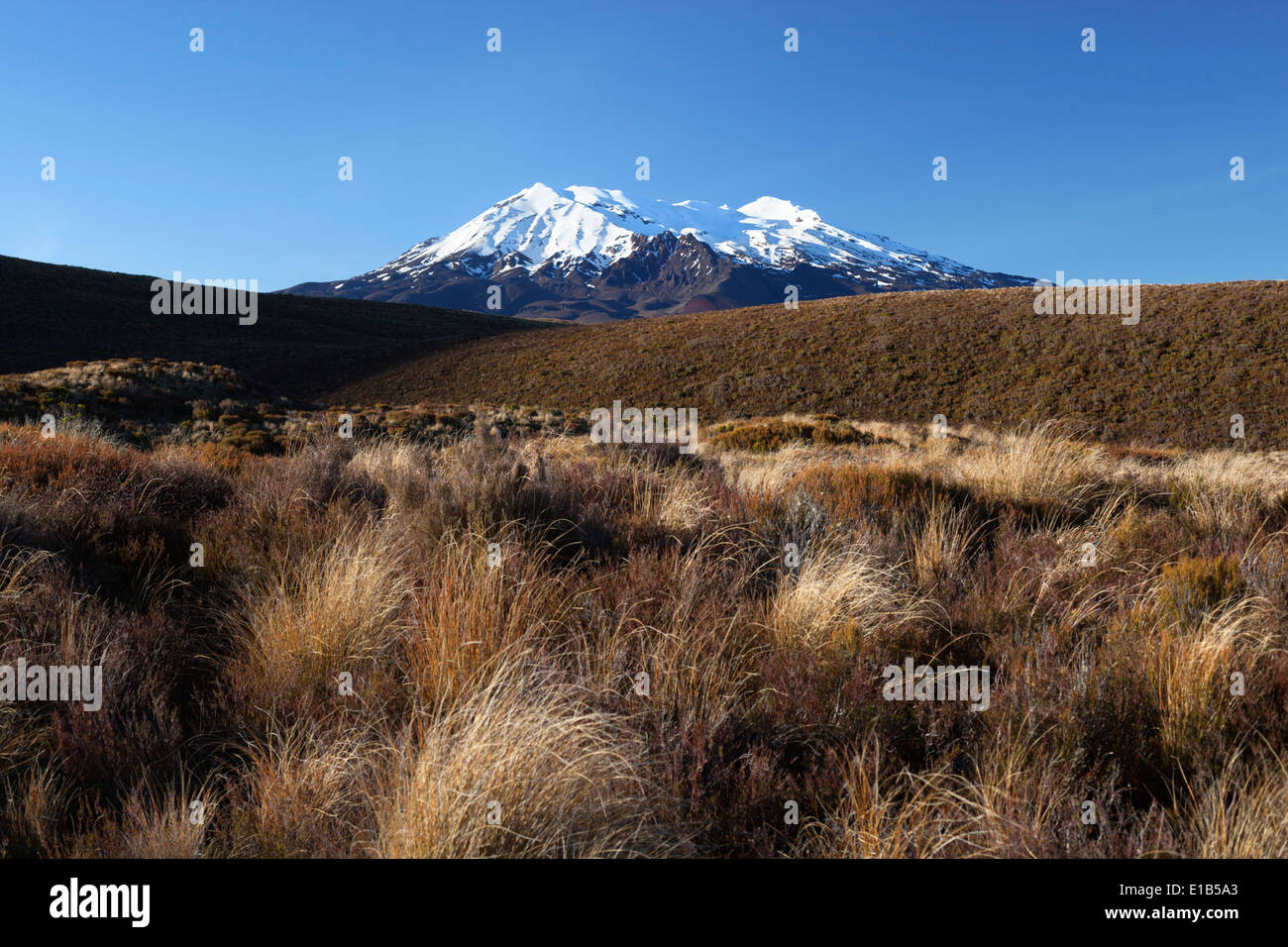 Mount Ruapehu Stock Photo