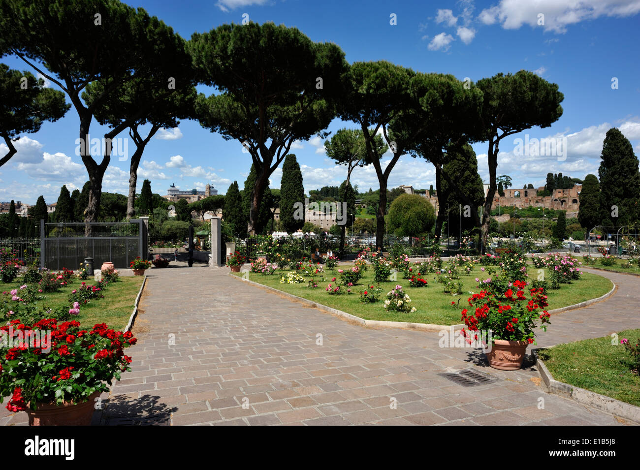 Italy, Rome, Aventino, Roseto Comunale, municipal rose garden Stock Photo