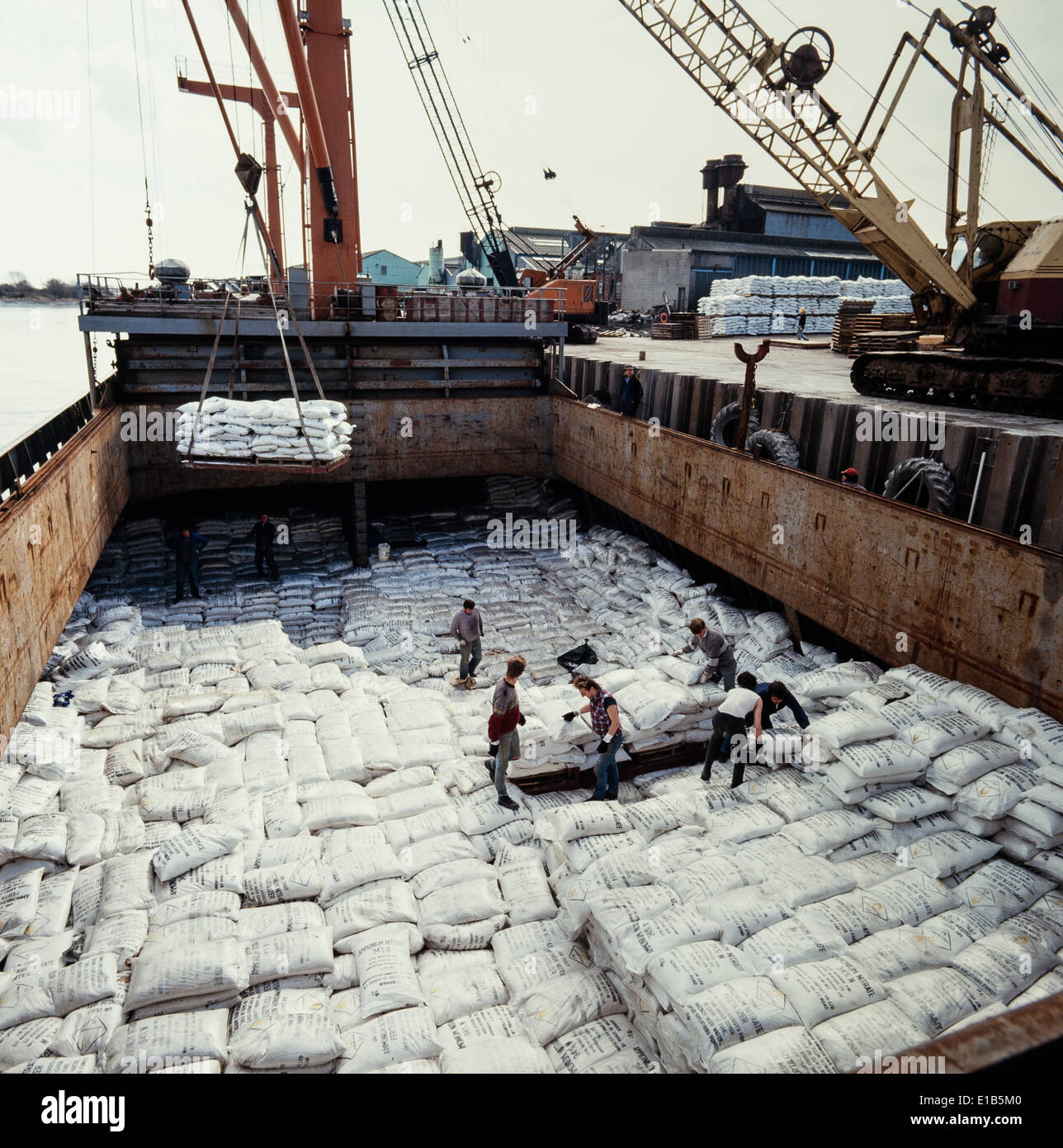 Unloading Fertilizer Sacks from Ship's Hold Stock Photo