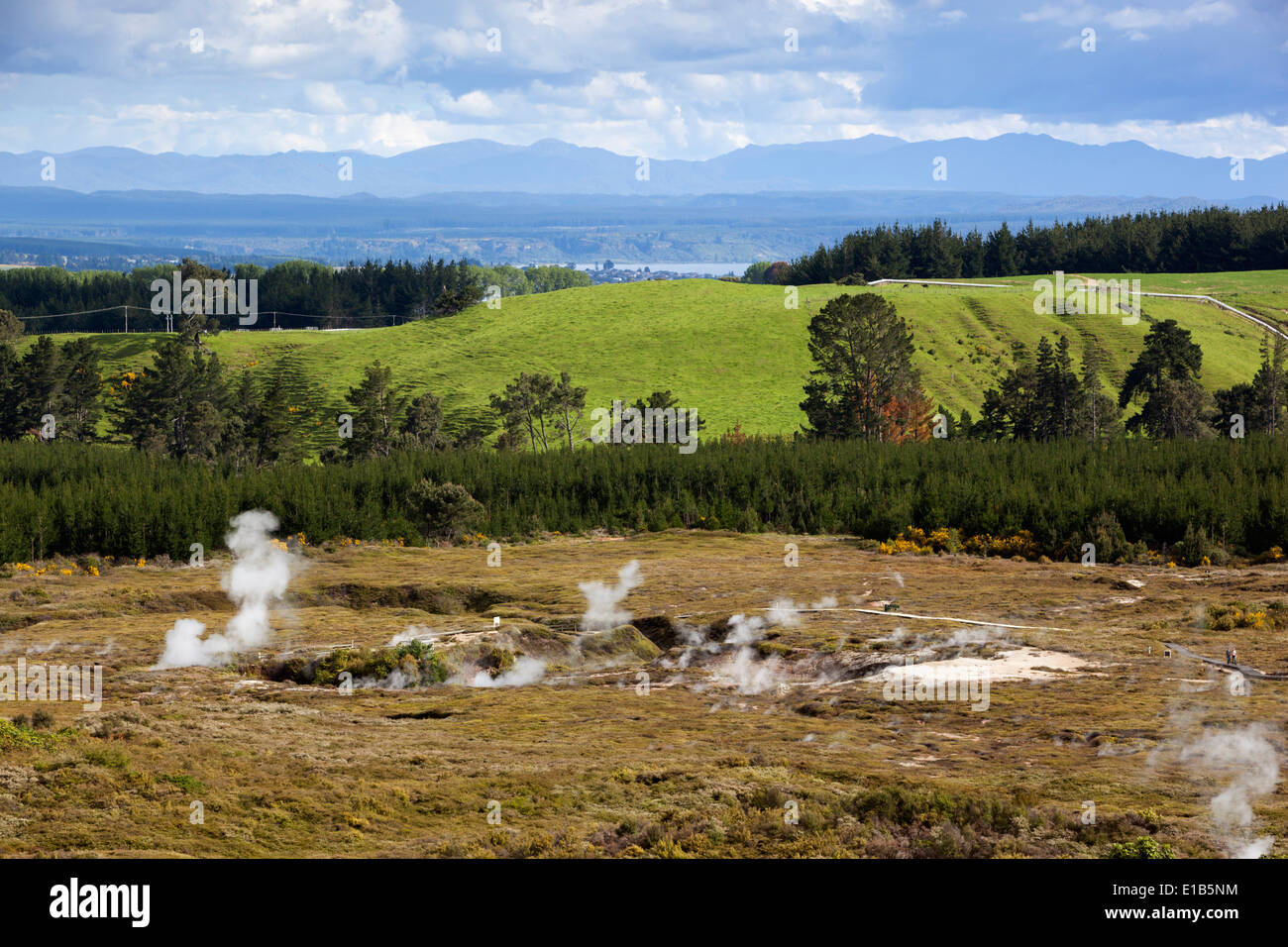 Craters of the Moon Thermal Area, Taupo, North Island, New Zealand Stock Photo