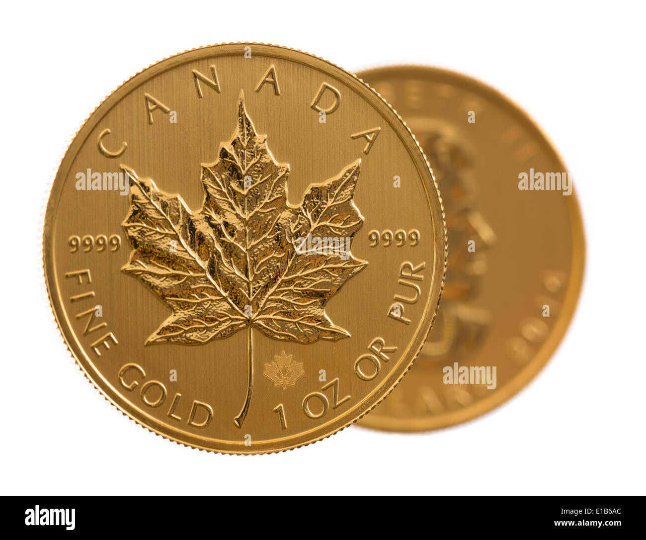 Pair of gold maple leaf one troy ounce golden coins from Canadian Treasury in uncirculated condition Stock Photo