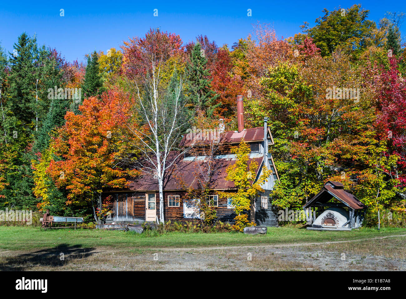 A sugar shack in a maple tree forest with fall foliage color near Brebeuf, Quebec, Canada. Stock Photo