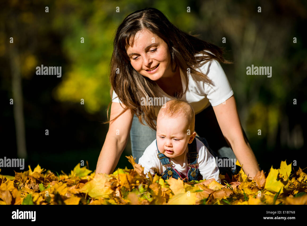 Mother playing with her baby in fallen leaves on fall sunny day Stock Photo