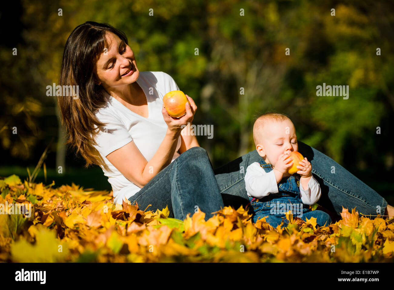 Mother with her cute baby eating apples outdoor in autumn nature Stock Photo