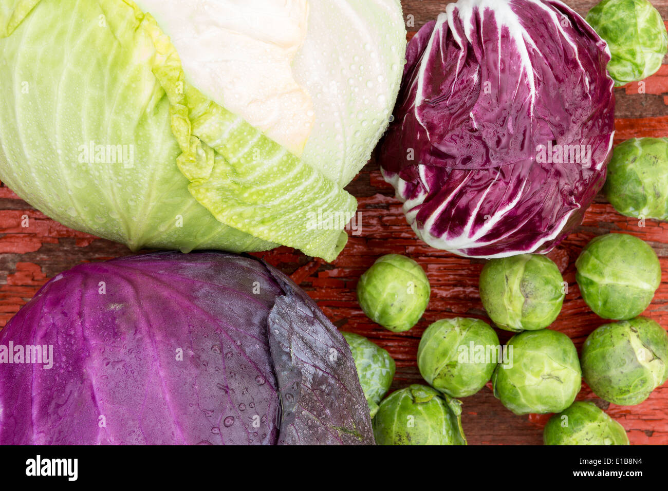 Close up overhead view of a selection of different fresh crucifies including green cabbage, red cabbage, radicchio and brussels Stock Photo