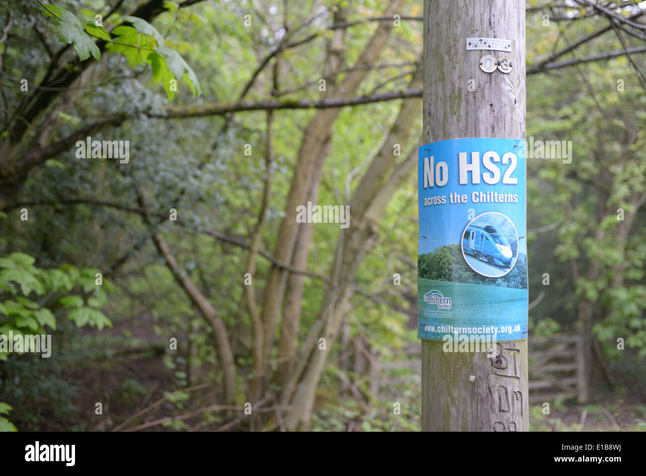 Protest signs at Sibley's Coppice Near Great Missenden on the line of the proposed HS2 rail route.  April 24th 2014 Stock Photo