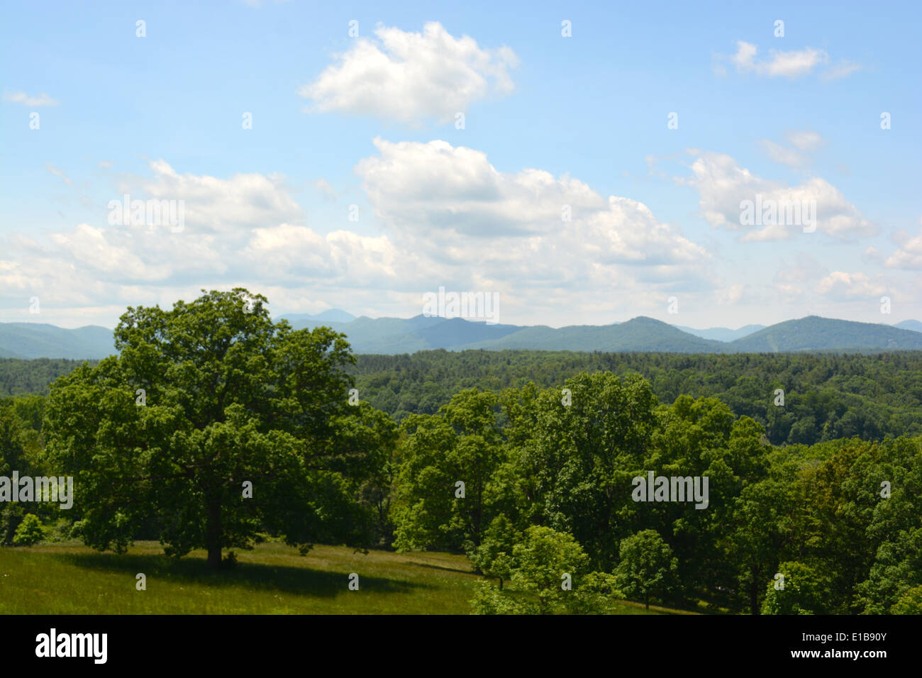 Asheville North Carolina In The Mountains Stock Photo Alamy