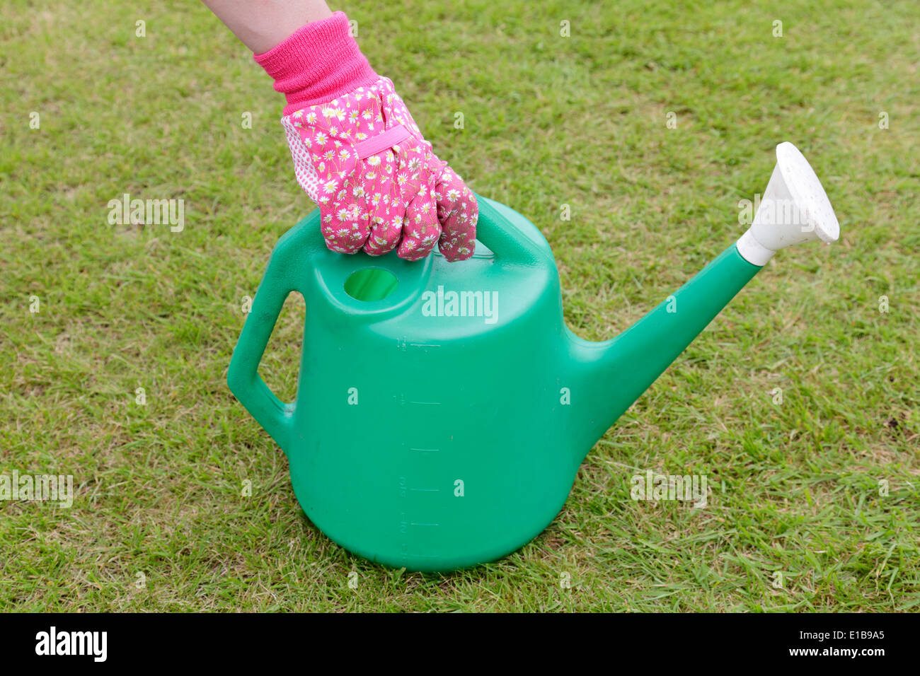 A woman wearing a pink gardening glove lifting a green plastic watering can, Scotland, UK Stock Photo