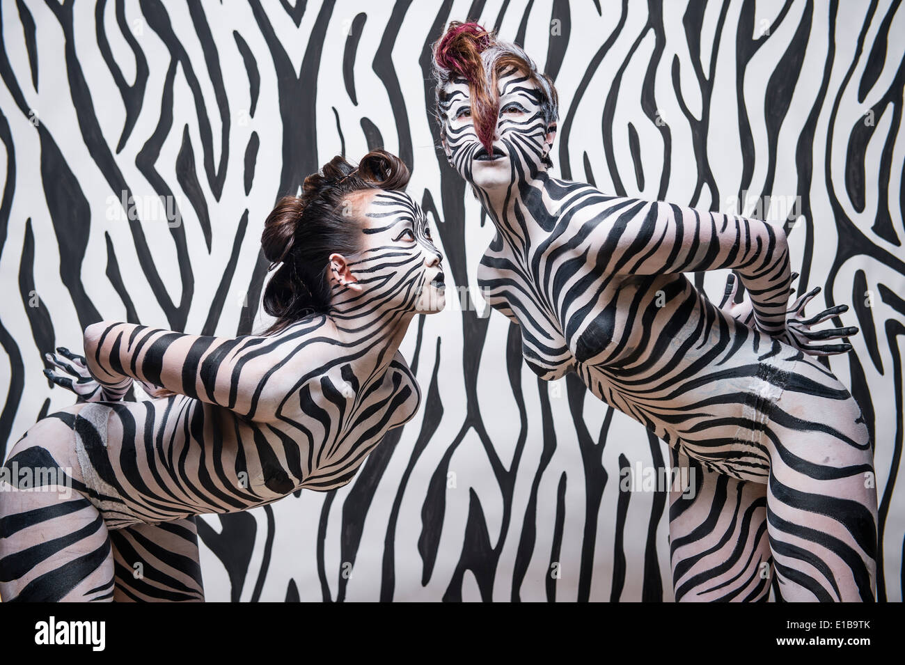 Two women girls with their bodies painted in black and white zebra stripes to match the background Stock Photo
