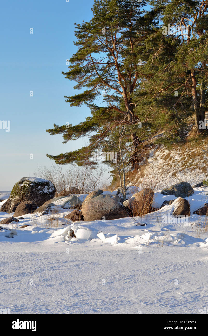 The Pskov lake, the island Belov. Winter landscape. January 2013. Stock Photo