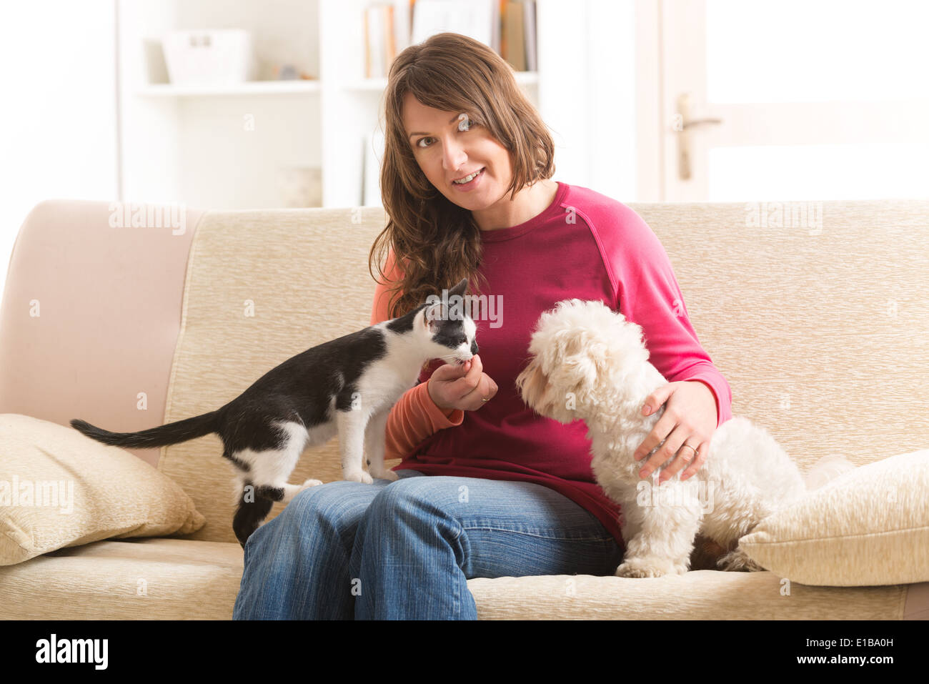 Little dog maltese and black and white cat sitting with owner on the sofa in home Stock Photo