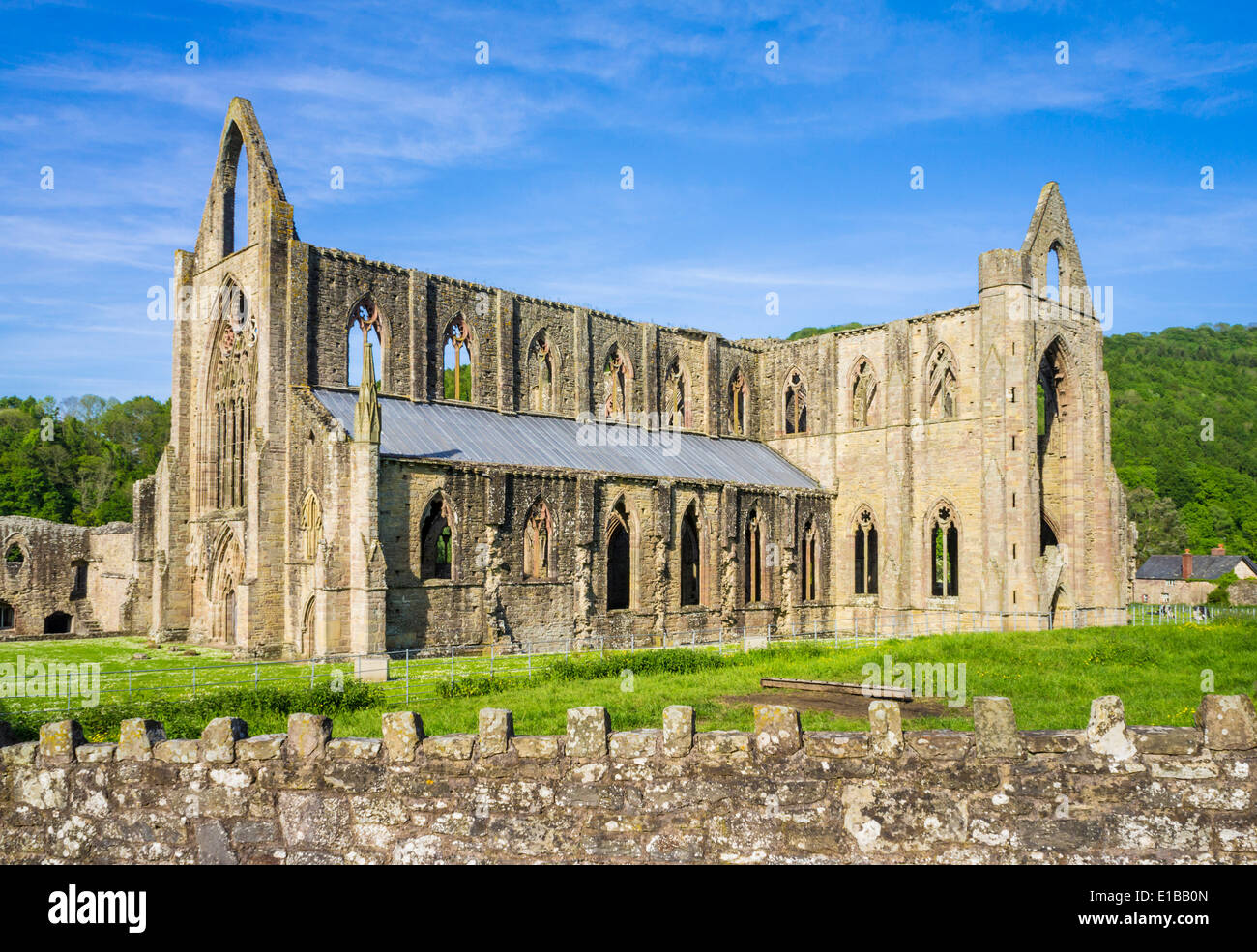 Tintern Abbey, Tintern, Wye Valley, Monmouthshire, Wales, UK, Europe Stock Photo