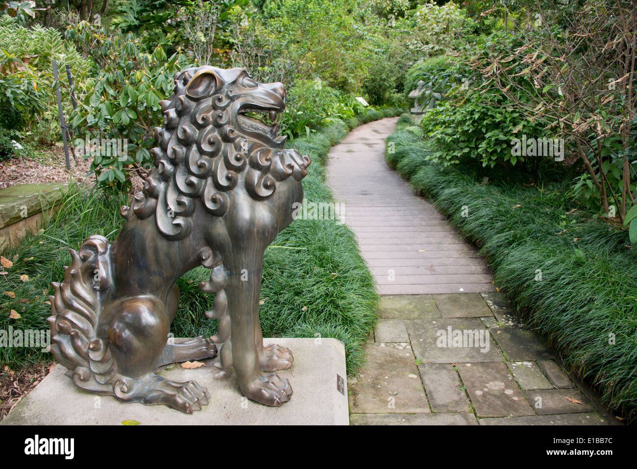 Sydney Royal Botanic Gardens High Resolution Stock Photography and