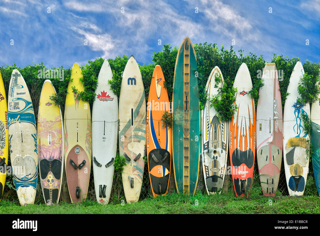 Surfboard fence in Maui, Hawaii. Stock Photo