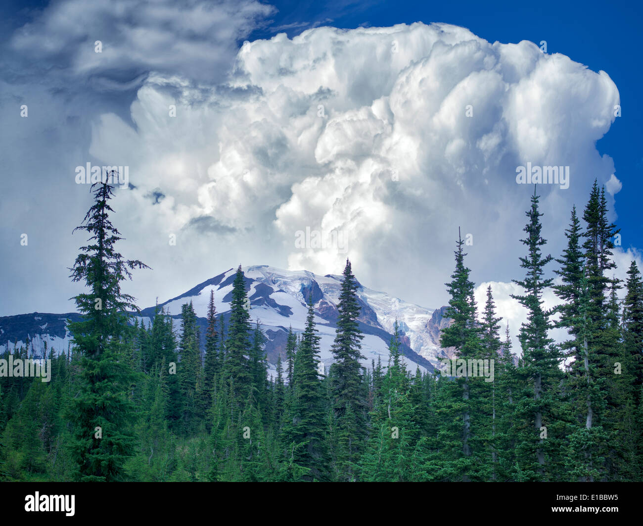 Mt. Adams with thundercloud.. Washington Stock Photo