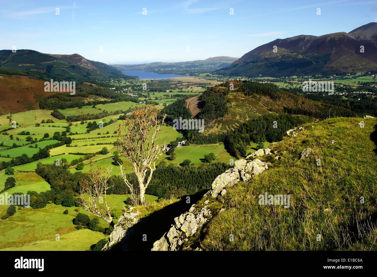 Newlands Valley and Skiddaw Stock Photo