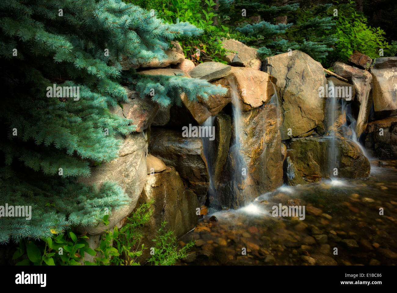 Waterfalls on small creek. Betty Ford Alpine Gardens. Vail Colorado Stock Photo