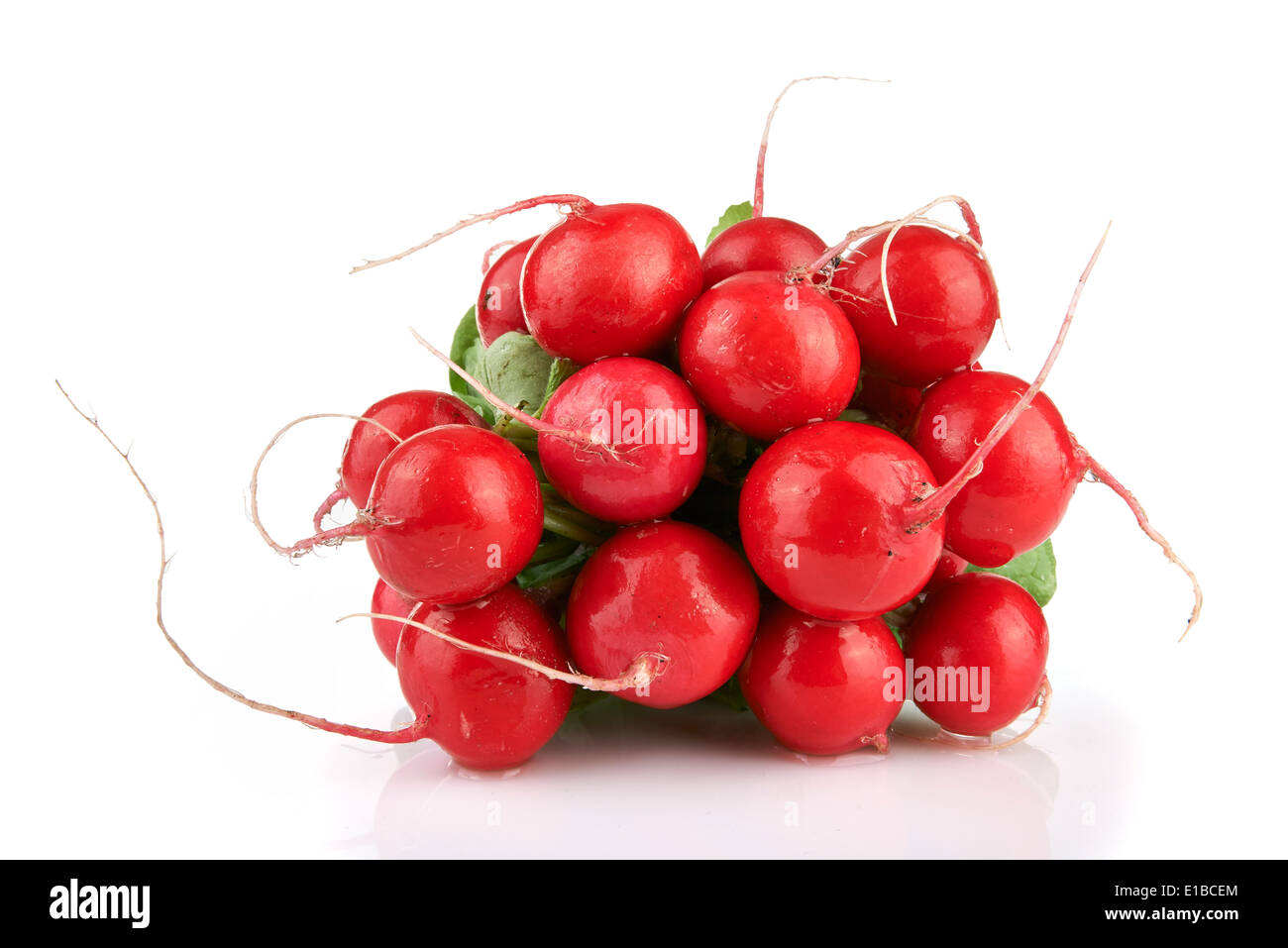 Small garden radish isolated on white background Stock Photo