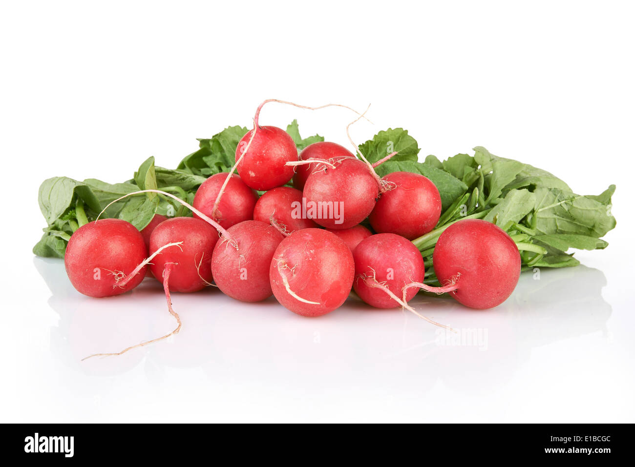 Small garden radish isolated on white background Stock Photo