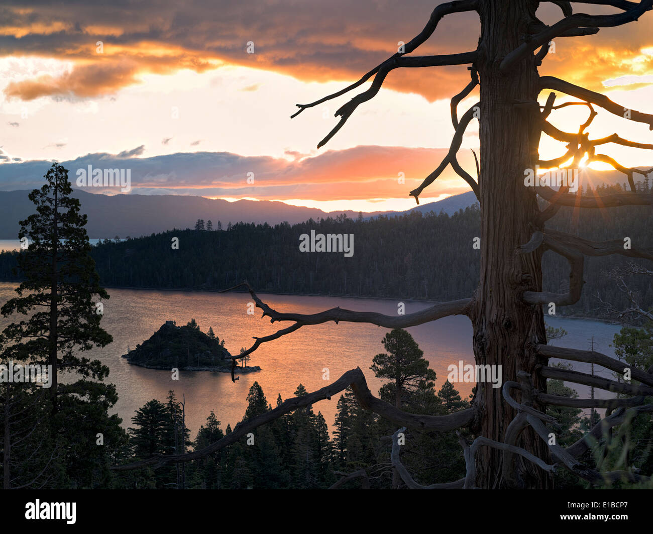 Sunrise over Emerald Bay with dead tree and Fannette Island, Lake Tahoe, California. Stock Photo