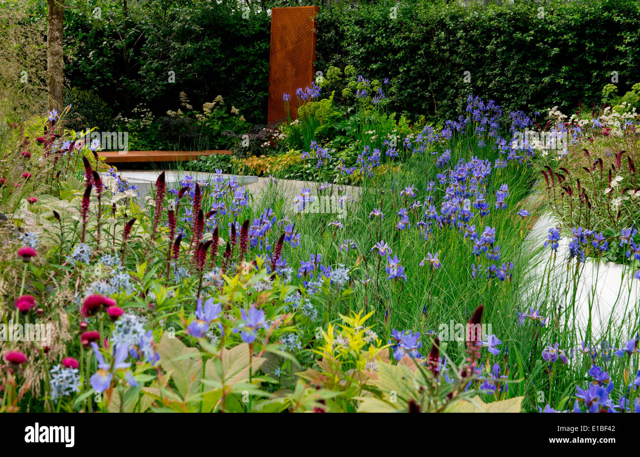 The RBC Waterscape Garden a gold medal winner designed by Hugo Bugg at The Chelsea Flower Show 2014, London, UK Stock Photo
