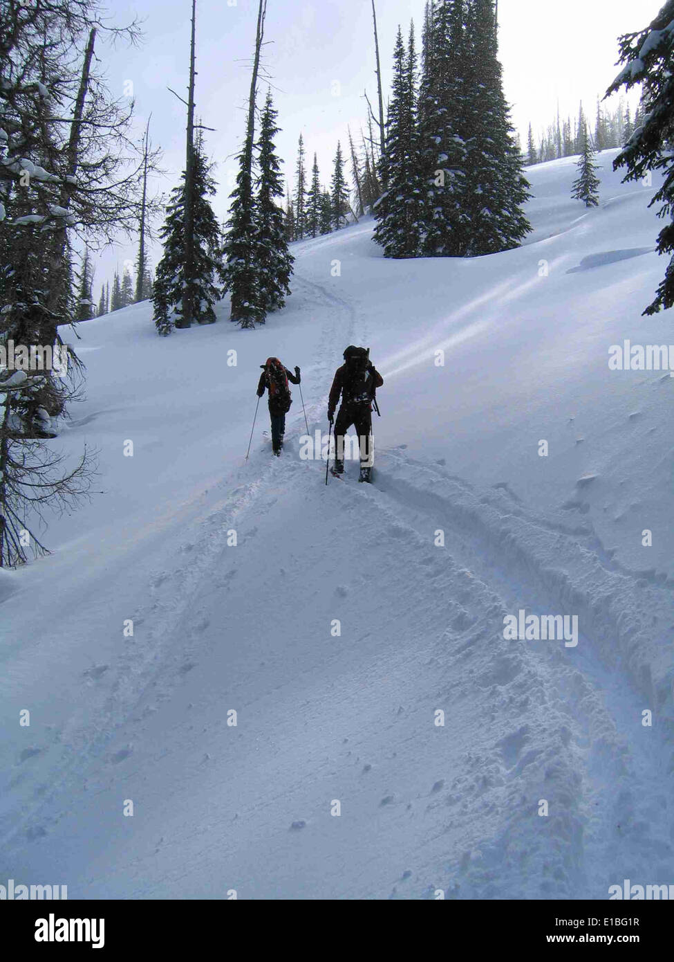 gashfeb-06 Stock Photo