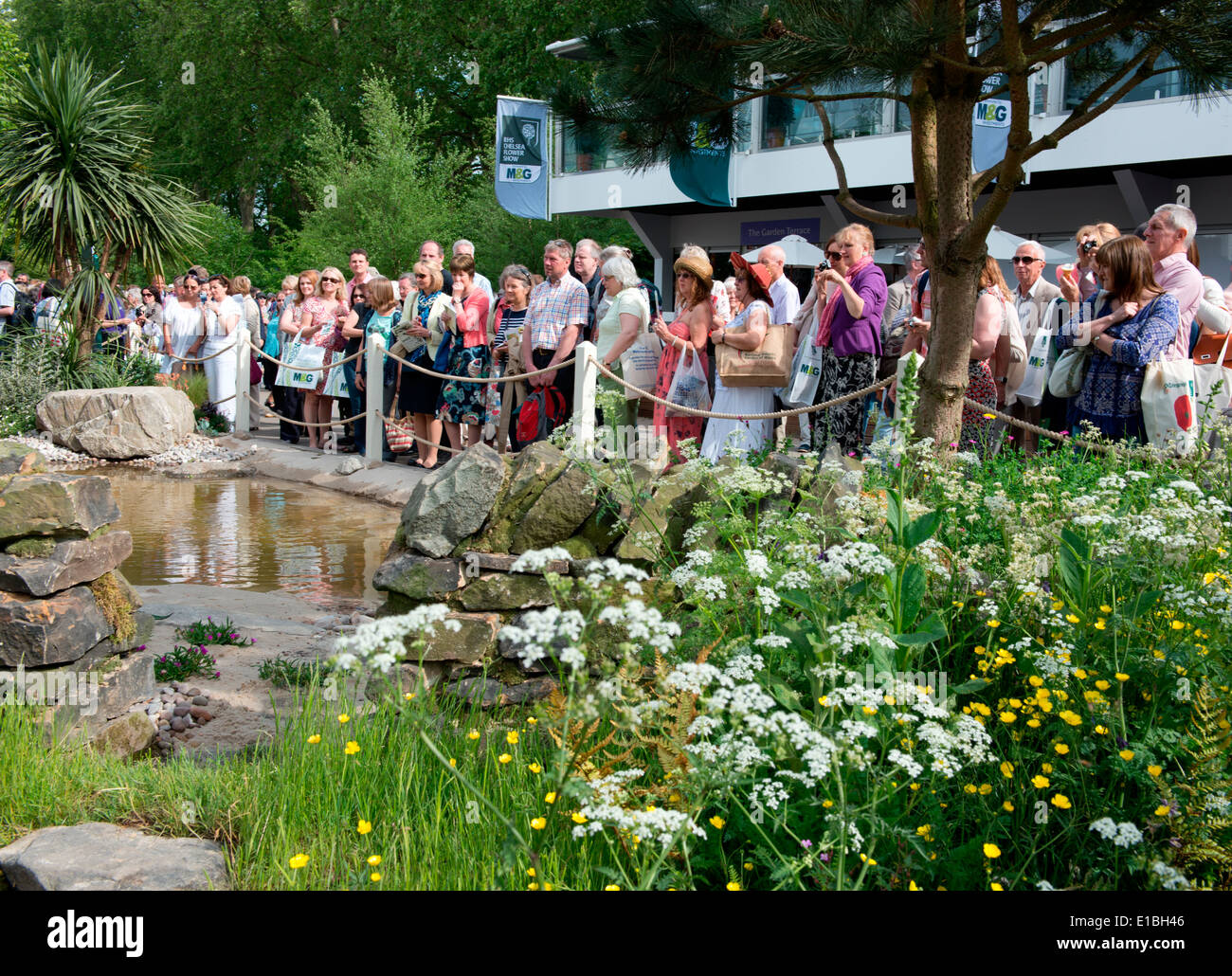 Visitors to the RHS Chelsea Flower Show 2014 surrounding Alan Titchmarsh's garden Britian in Bloom. London UK Stock Photo