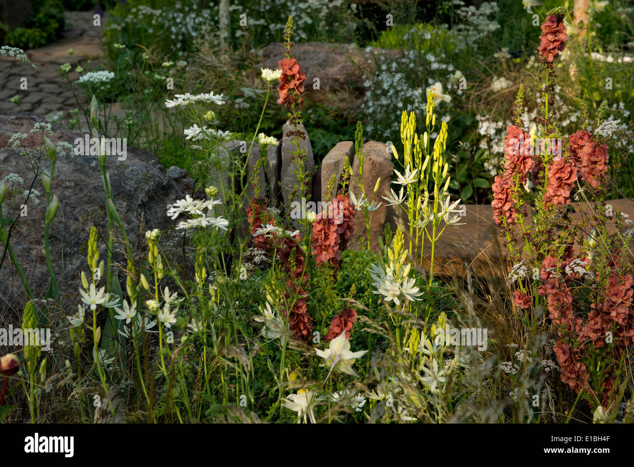 A close-up of plants in The Vital Earth Night Sky Garden, show garden gold medal winner at the Chelsea Flower Show Stock Photo