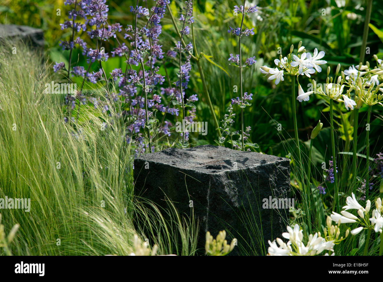 Flowers surrounding a granite block in the Hope on the Horizon Help for Heroes Garden at the Chelsea Flower Show 2014 London UK Stock Photo