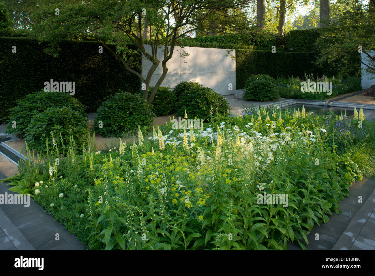 The Laurent-Perrier Garden at the RHS Chelsea Flower Show 2014, winner of the best show garden award. Stock Photo