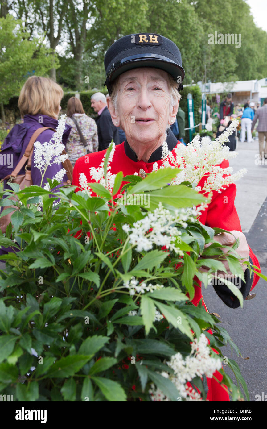 RHS Chelsea Flower Show, plants and flowers are sold off to visitors on the last day of the show. Stock Photo