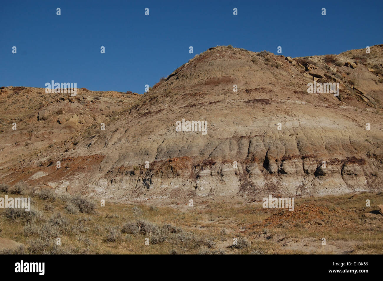 Ryegate hires stock photography and images Alamy