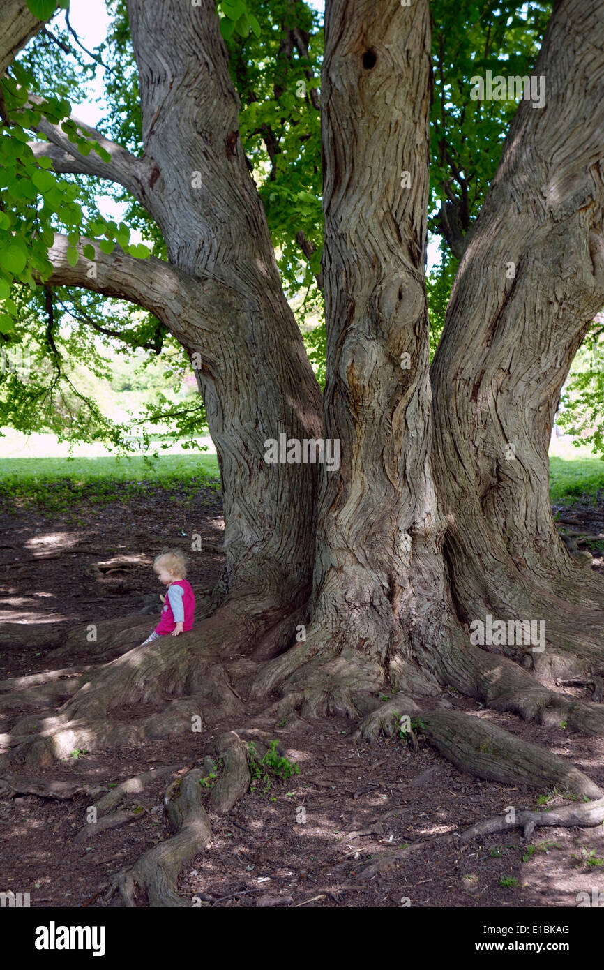 Highland park Rochester NY Stock Photo Alamy