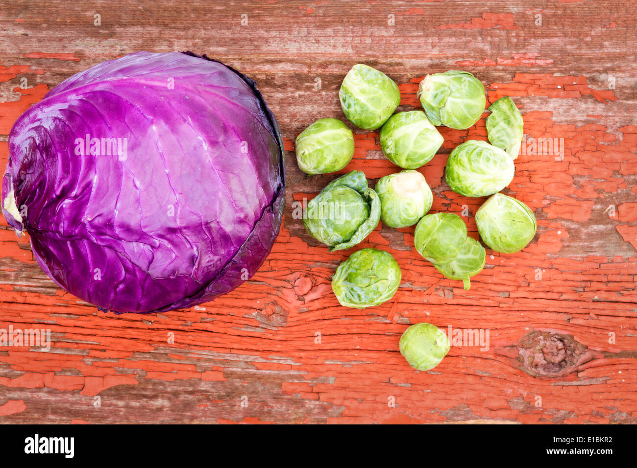 Brassica family hires stock photography and images Alamy