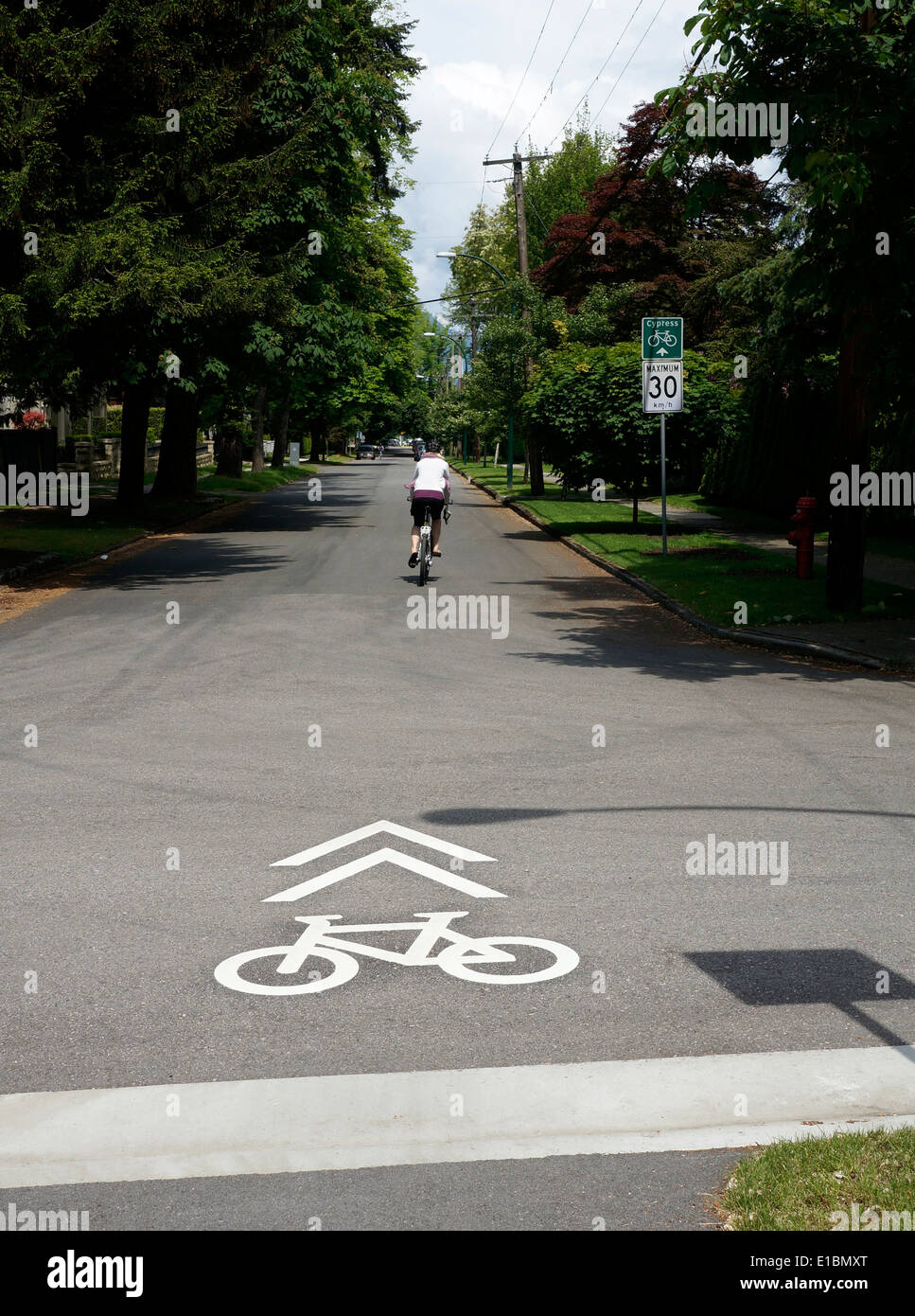 Cyclist in the bicycle lane on Cypress Street in Shaughnessy, Vancouver, BC, Canada Stock Photo