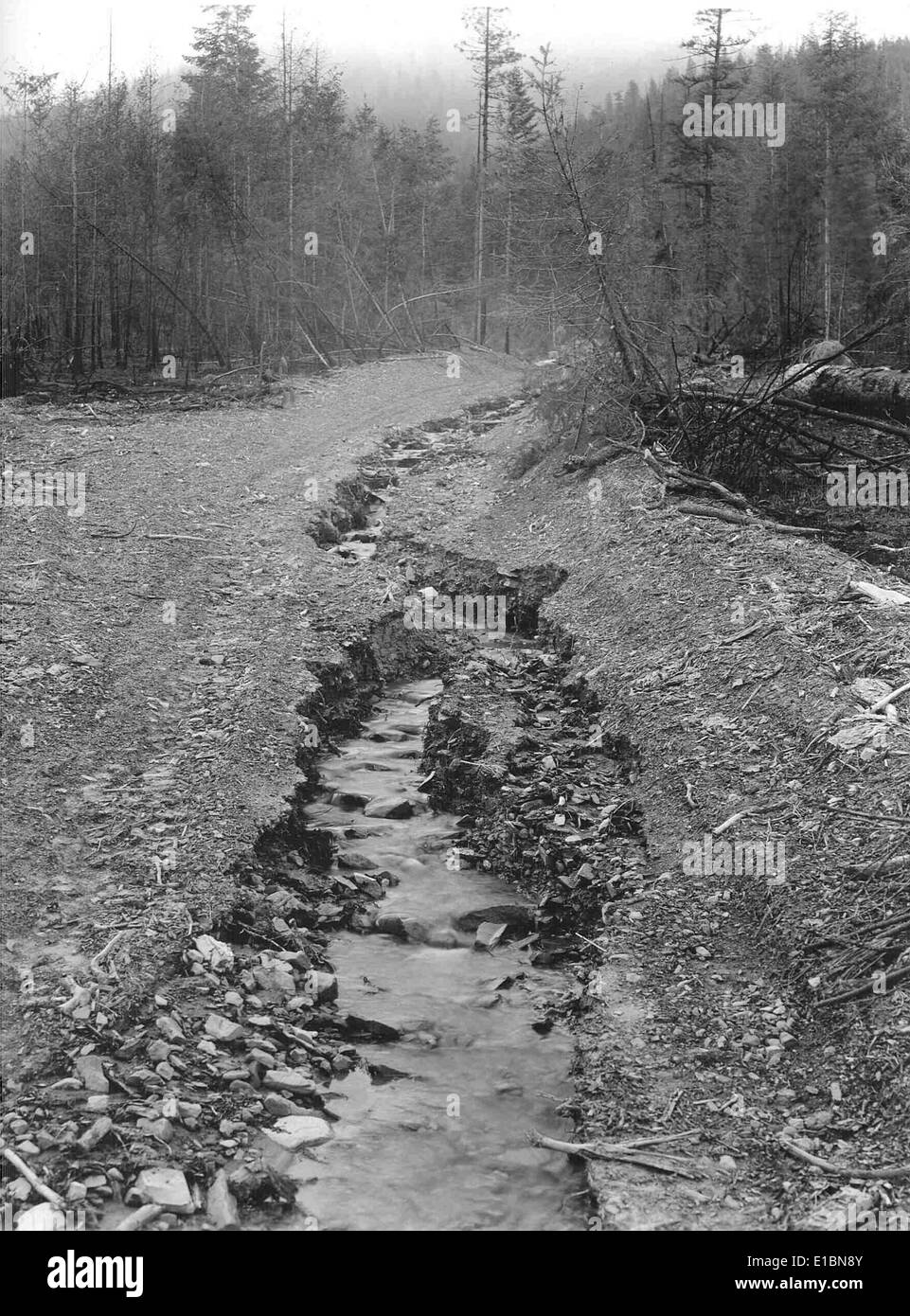 2749 Black and White Stock Photos & Images - Alamy