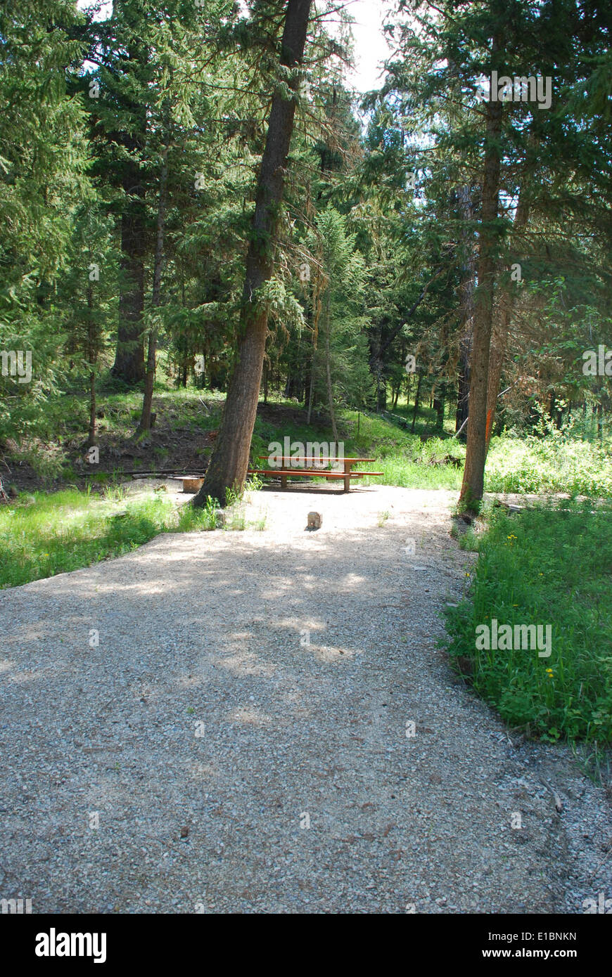 Slate Creek Campground site Stock Photo Alamy